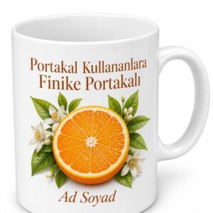 Portakal Kullananlara Finike Portakalı Sıkmalık Portakal C Vitamini Kupa Bardak Hediye