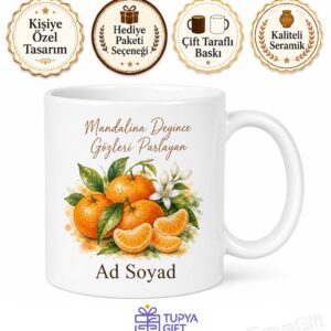 Mandalina Kullananlara Bodrum Mandalinası Çekirdeksiz Mandalina Kış Meyvesi Kupa Bardak Hediye