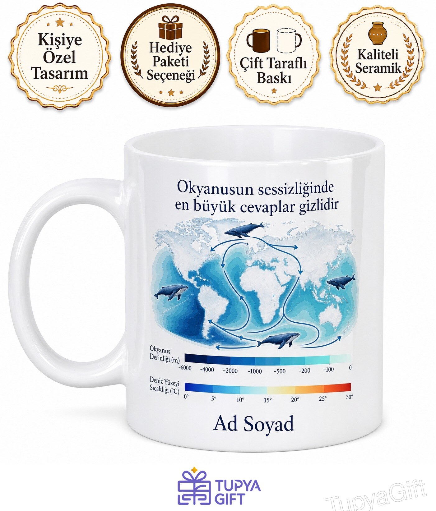 Okyanus Bilimcisine Hediye Balina Göçü Deniz Sıcaklığı Okyanus Derinliği Baskılı Kupa Bardak